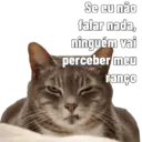 Gata Rabujenta 6