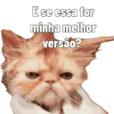 Gata Rabujenta 7