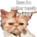 Gata Rabujenta 8