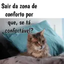 Gata Rabujenta 11