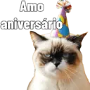 Gata Rabujenta 13