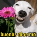 Só love 💘 2