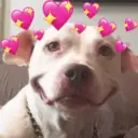 Só love 💘 3