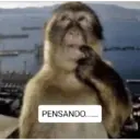 Macaco 1