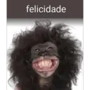 Macaco 6