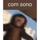 Macaco 7