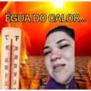 Minhas figurinhas 9