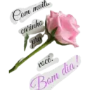 Nossa Senhora 16