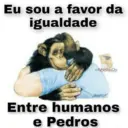 Minhas figurinhas 19