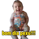 Minhas figurinhas 12