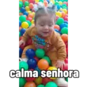 Minhas figurinhas 25