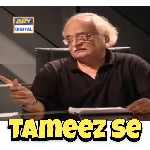 ARY DIGITAL TAmeez se