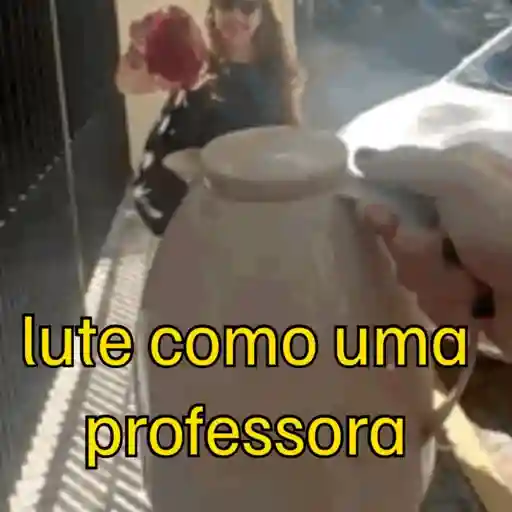 Minhas figurinhas 19