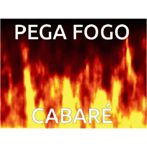 Gif koy 23