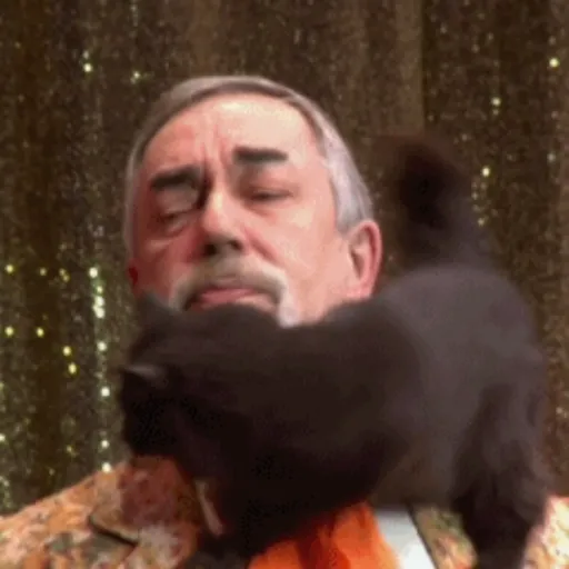 Gatos 4 27
