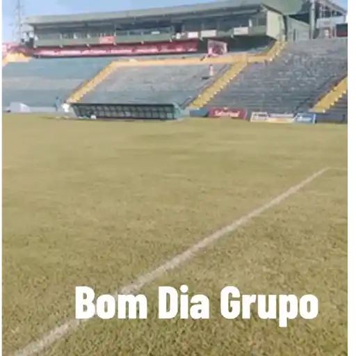 Bom Dia Grupo