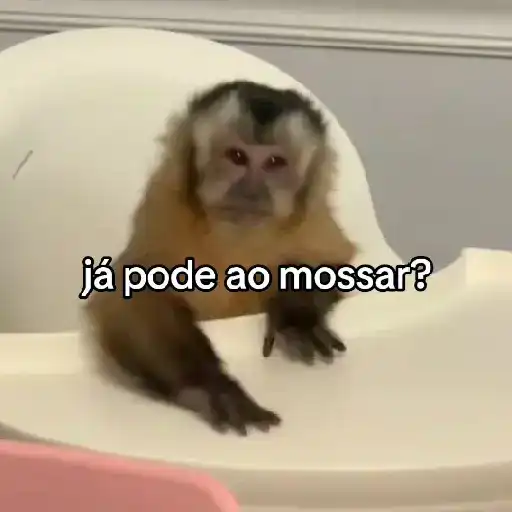 Маленькие обезьянки 😂😂😂 11