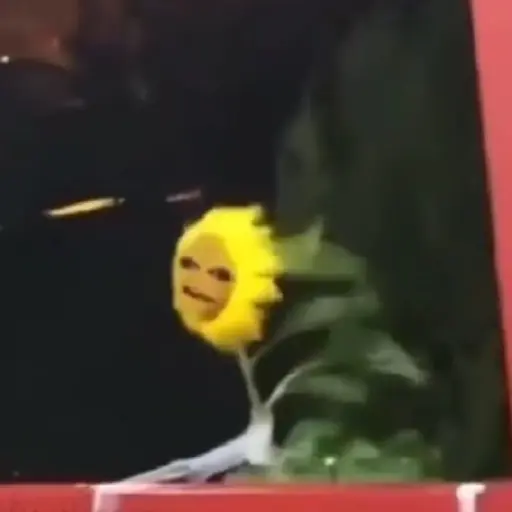 Meme Animated pt. 1 13