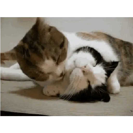 Couple romance 9 18