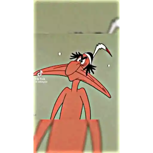COAFOM TikTok