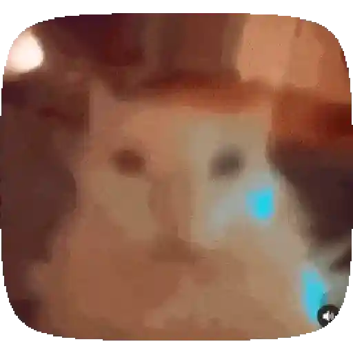Animados Vacanos 😈😎 6