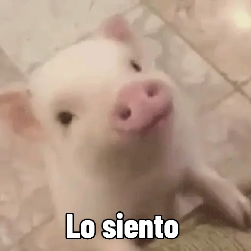 Lo siento