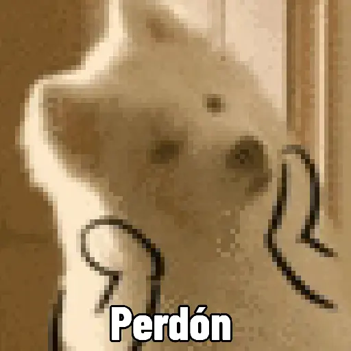Perdón