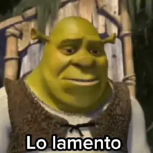 Lo lamento