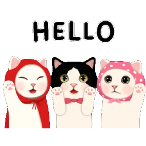 Cute cat2 5