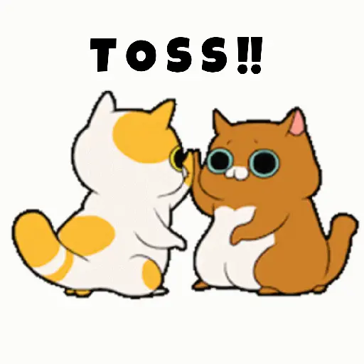Cute cat2 9