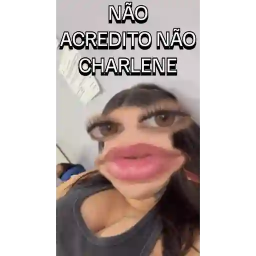 Minhas figurinhas 14