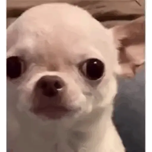GIF L 001 6