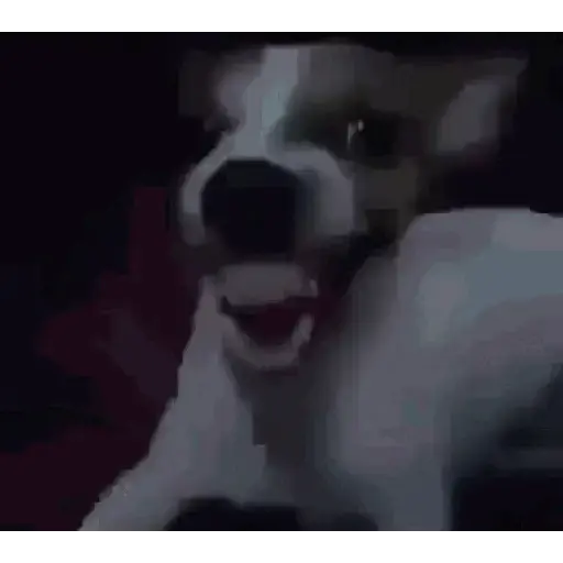 GIF L 001 7