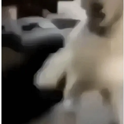 GIF L 001 8