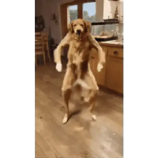 GIF L 001 9