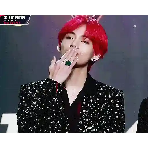 Jimin and V - BTS 13
