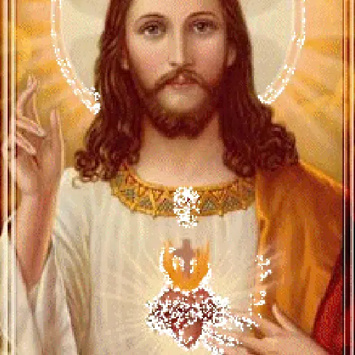 Sagrado Coração de Jesus 14