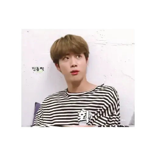 BTS 29