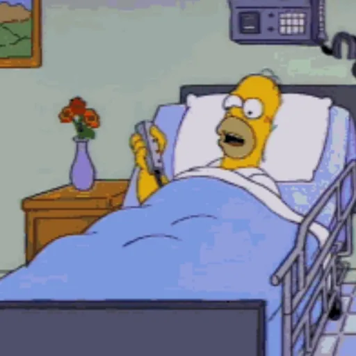 HOMERO Simpson 💛✨ 13