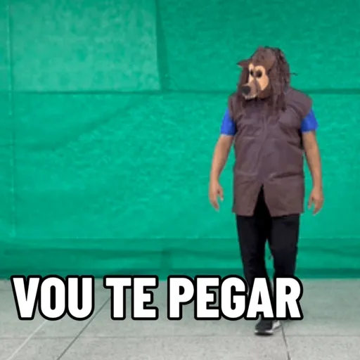 Minhas figurinhas 7