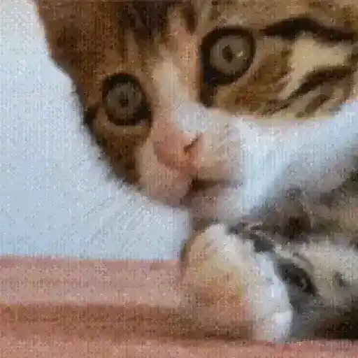 Cats AMV Pack 1/5 8