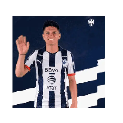 Rayados 🇸🇻✨ 11