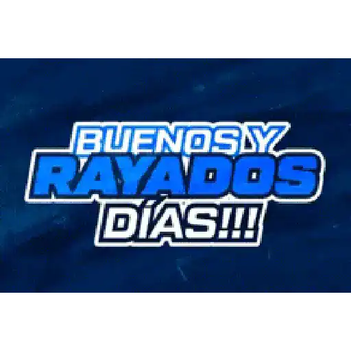 Rayados 🇸🇻✨ 14