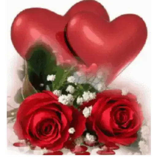 WhatsApp 66 25