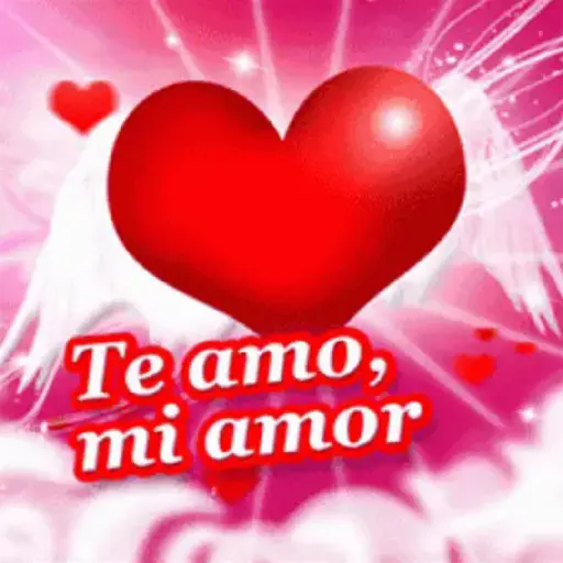 WhatsApp 66 28