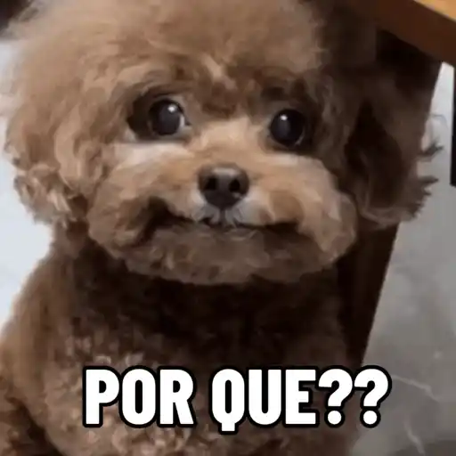 Doguinhos fofos 5