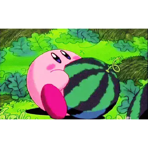 Kirby 24