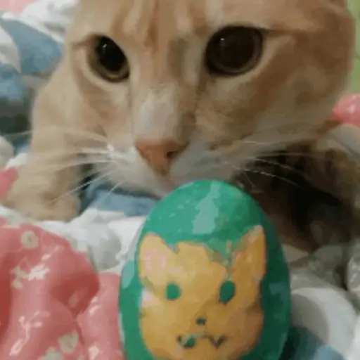 E o meu ovo de páscoa hein? 🐰🍫 9