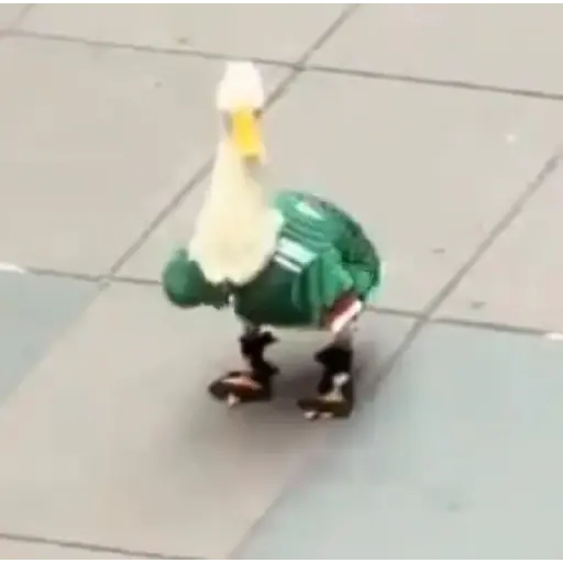 Merlin Pato del mundial 🦆⚽️ 8