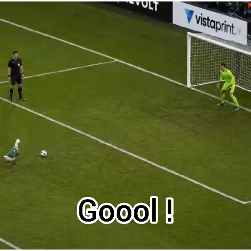 Merlin Pato del mundial 🦆⚽️ 9